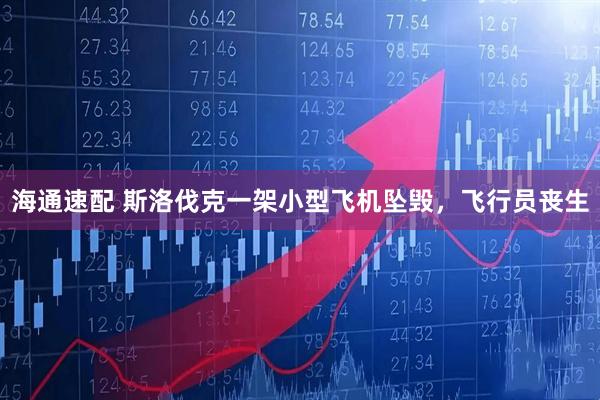 海通速配 斯洛伐克一架小型飞机坠毁，飞行员丧生
