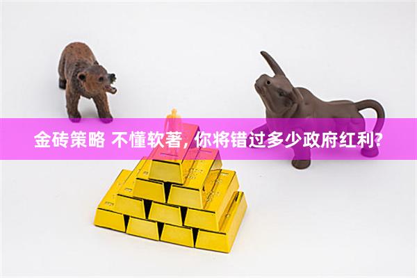 金砖策略 不懂软著, 你将错过多少政府红利?