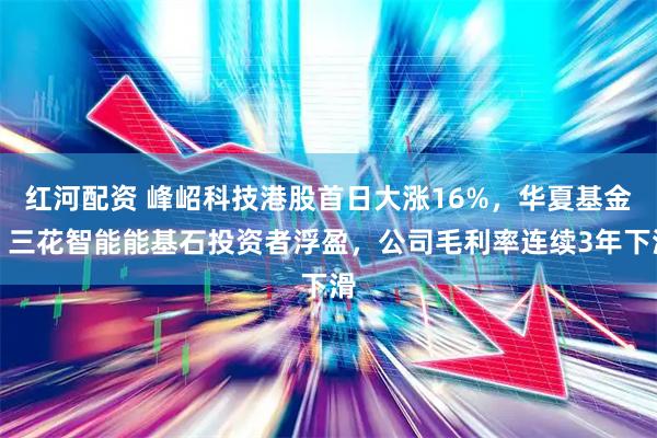 红河配资 峰岹科技港股首日大涨16%，华夏基金、三花智能能基石投资者浮盈，公司毛利率连续3年下滑