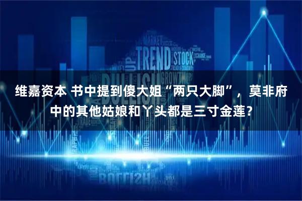 维嘉资本 书中提到傻大姐“两只大脚”，莫非府中的其他姑娘和丫头都是三寸金莲？