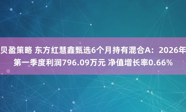 贝盈策略 东方红慧鑫甄选6个月持有混合A：2026年第一季度利润796.09万元 净值增长率0.66%